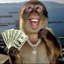 ggbearycuterichmonke
