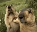 hold me back