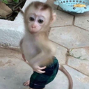 monk