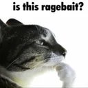 Ragebait