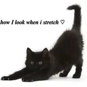 Howilookwhenistretch