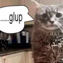 Gulp