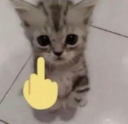 faku slvts
