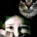 shh slvts