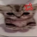 angry slvts