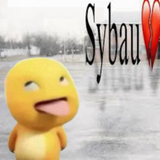 sybau slvts
