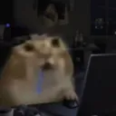 cat_drooling