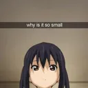 small_pp