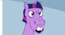Horse face
