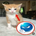 _auslaender
