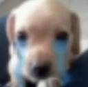 dogcry