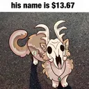 Sayko his name is $13.67