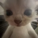Me
