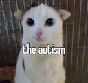 autism