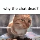 deadchat