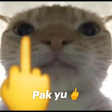 pak you