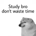 Study