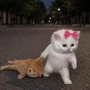 kitty