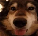 Blep