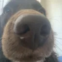:stare