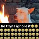 he tryna ignore it
