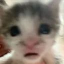 O_O 