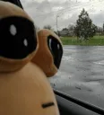 SAD