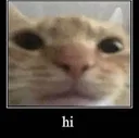 hi