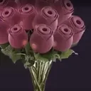 rosebouquet
