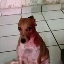 uhm