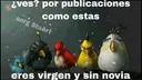 Ves?