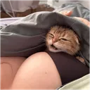 Grrr