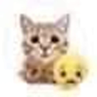 sad cat