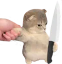 catknifereluctantagreeing