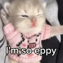 imsoeepykitten
