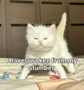 ihaveawokenfrommyslumber