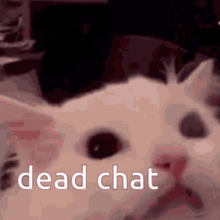 Chat dead