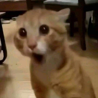 shocked