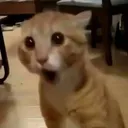 shocked