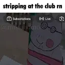 Stripper pig