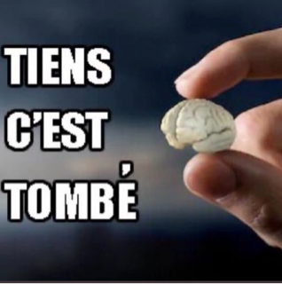 Pr toi