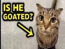 is he goated?