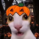 Pumpkin Midas
