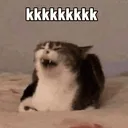 cat_12