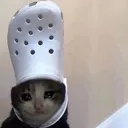 cat_meme_21