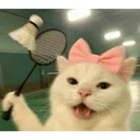 cute_cat_3