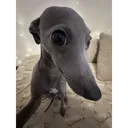 cat_meme_2
