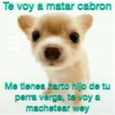 Te voy a matar cabron