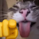 LOL