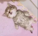 sleep .gg/egirly